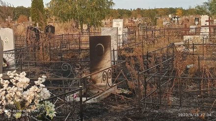 В Воронеже при пожаре пострадало кладбище