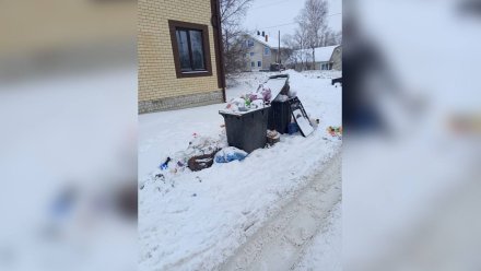 «Живём на помойке». Воронежцы пожаловались на переполненные мусорные контейнеры