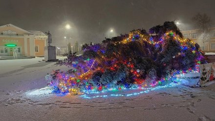 Две новогодние ёлки рухнули в Воронежской области