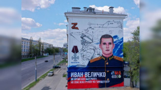 «Единая Россия» подвела итоги конкурса эскизов для муралов в Воронежской области