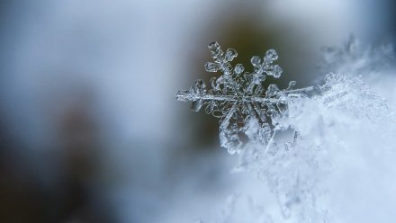 Синоптики назвали вероятную дату первого снега в Воронежской области