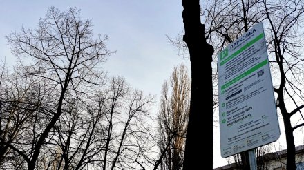 Воронежцам напомнили о зонах в центре города с бесплатной парковкой на час