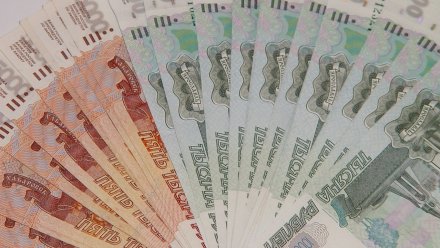 В Воронеже бизнесвумен обманула заказчика на 377 тыс. рублей