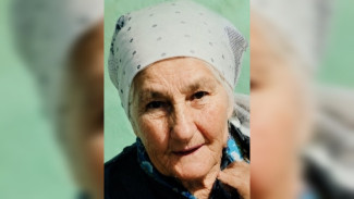 Воронежские волонтёры вернули домой пропавшую без вести пенсионерку с деменцией