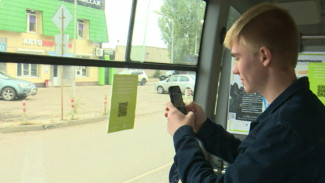 В салонах воронежских маршруток запланировали разместить qr-коды для жалоб на водителей