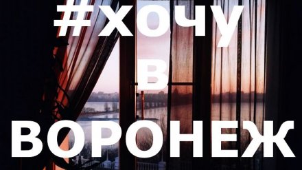 25 лучших фото воронежцев из соцсетей за неделю