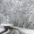 Воронежских водителей предупредили о снеге на М-4 «Дон»