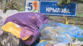 Власти объяснили, почему в Воронеже задерживается реконструкция мусорных площадок