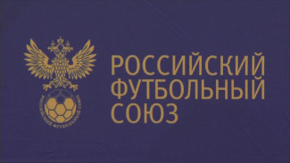 В 50 школах Воронежской области откроют футбольные секции