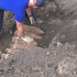 Крупную партию снарядов времён Великой Отечественной войны нашли в воронежском лесу