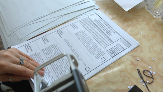 Воронежцев предупредили о сложностях с дистанционным голосованием через Госуслуги