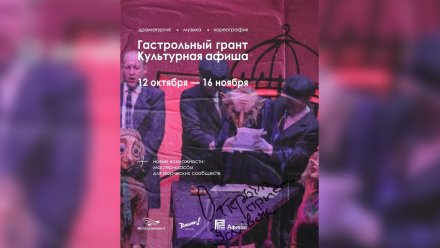 Творческие коллективы из Воронежской области пригласили поучаствовать в грантовом конкурсе