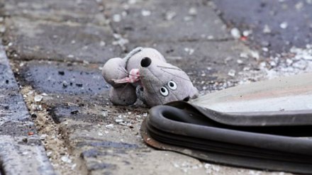 На трассе под Воронежем в крупном ДТП погибли два человека, ещё трое получили ранения