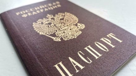 В Воронежской области 35 иностранных бойцов СВО получили гражданство РФ