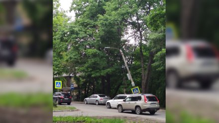 Фонарный столб повис на проводах у остановки в Воронеже