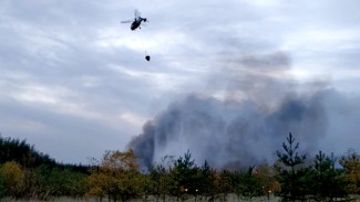 Авиация МЧС сбросила ещё 836 тонн воды на горящую Воронежскую область