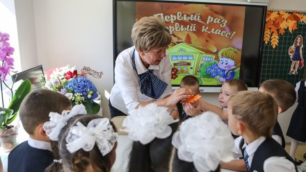 Сельским учителям в Воронежской области будут помогать со съёмом жилья до конца 2024 года