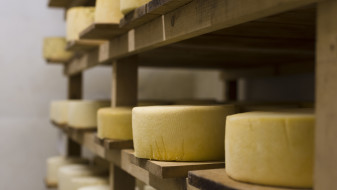 Калачеевский сырзавод заплатил 1,1 млн ветерану боевых действий за рабочую травму