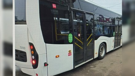 Жительница Нововоронежа попала в больницу после ДТП с автобусом №49