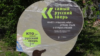 В воронежском Хопёрском заповеднике заработала новая экотропа