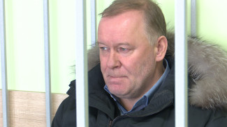 Адвокат подозреваемого в мошенничестве вице-мэра Воронежа: «Домашний арест его устраивает»
