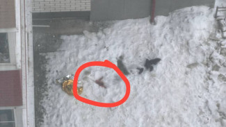 Труп 18-летнего парня нашли под окнами многоэтажки в Воронеже