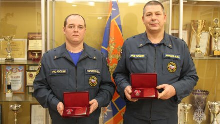 В Воронеже пожарных наградили за спасение из огня 3 детей и 94-летней женщины