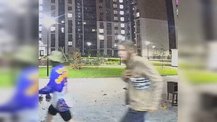 МВД проведёт проверку после сброшенного детьми пылесоса с 17 этажа в Воронеже