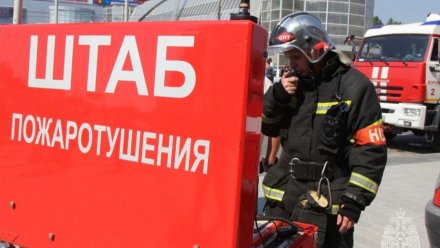 Воронежцев предупредили о скоплении пожарных машин у библиотеки на Никитинской