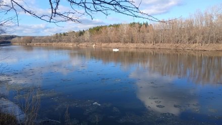 Водолазы начали поиски троих мужчин в водоёмах Воронежской области