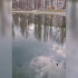 В Воронеже с озера на Минской убрали мёртвую рыбу