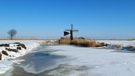 Санврачи назвали воронежцам опасные места для купания в Крещение