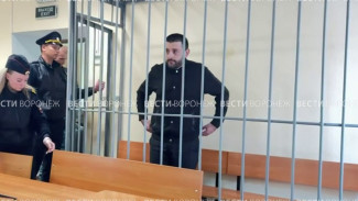 В Воронеже обвиняемому по делу о кровавой поножовщине у «Бархата» продлили арест