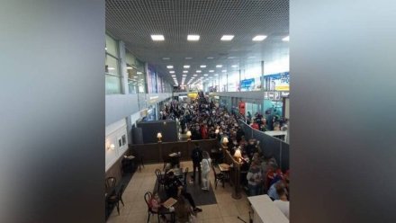 Воронежцы устроили давку в ожившем после пандемии аэропорту 