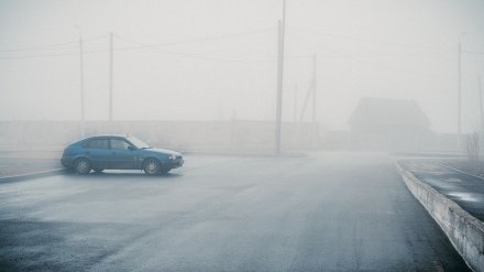 Два человека едва не замёрзли на воронежской трассе