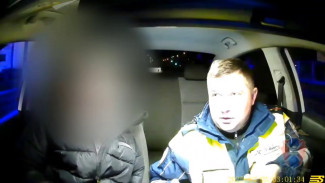 Полицейские устроили погоню за пьяной автомобилисткой без прав в Новой Усмани