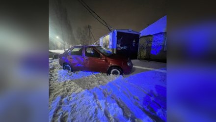 В Воронеже молодая автомобилистка на Lada Kalina сбила трёх пешеходов 