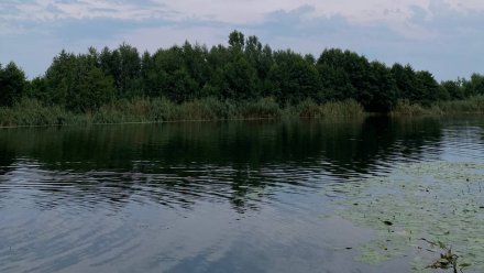 В реке Битюг в Воронежской области утонул пенсионер