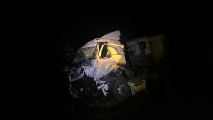 На воронежской трассе ГАЗ столкнулся с КамАЗом: 3 человека погибли,1 пострадал