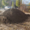 «Что за скотство»? Жители Лисок снова пожаловались на коммунальщиков и чиновников