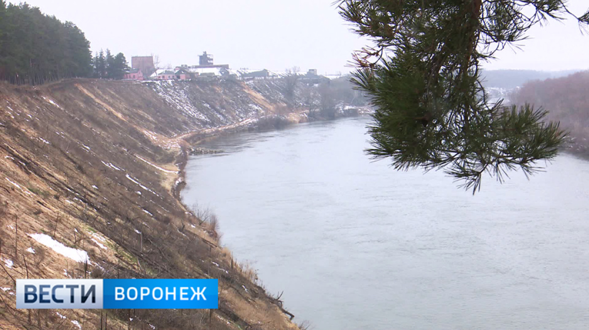 Берег работа. Берегоукрепление Павловск Воронежской. Берегоукрепление р.Дон в Павловске Воронежской. Берег Дона Воронеж. Берегоукрепление реки Дон.