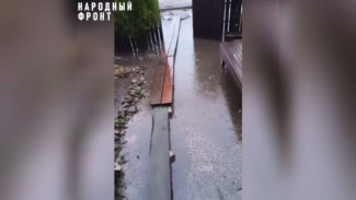 «Воронеж – побратим Венеции?» Мэрию позвали «поплавать» по затопленной улице