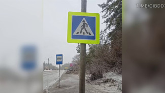 В Воронеже появился новый пешеходный переход 