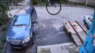 В Воронежской области 20-летнего парня заподозрили в изнасиловании пенсионерки