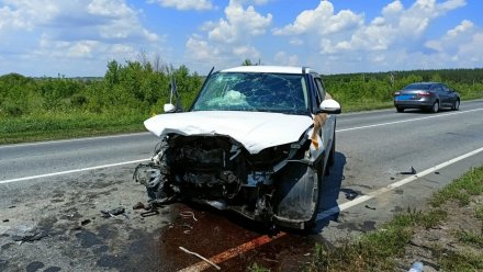 Массовое ДТП с погибшим водителем произошло на трассе под Павловском