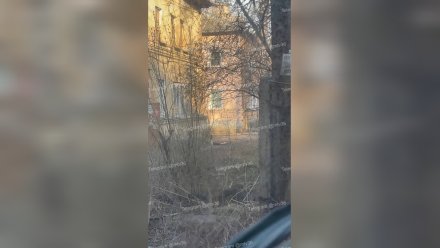 Воронежцы сообщили об упавшем с крыши мужчине