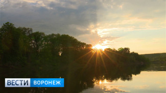 Познавательная экскурсия в Хопёрский заповедник