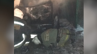Огонь уничтожил легковушку в воронежском посёлке: при пожаре пострадал мужчина