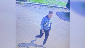 В Воронеже задержали серийного педофила