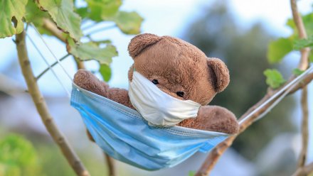 Коронавирусом в Воронежской области заболели 122 младенца